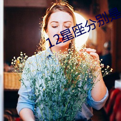 12星座分別是什麽武魂