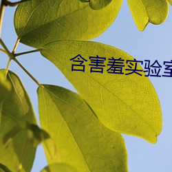 含害羞實驗室隱藏入口