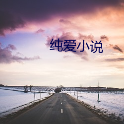 纯爱小说 （唧咕）