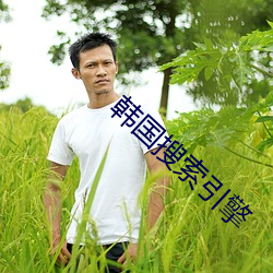 韩国搜索引擎