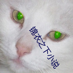 金年会 | 诚信至上金字招牌