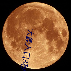大象入口3秒(miǎo)自动(dòng)进入