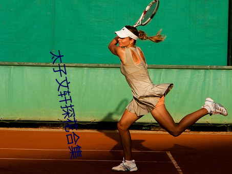 太子文軒探花合集
