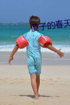 傻子的春天 （没眉没眼）