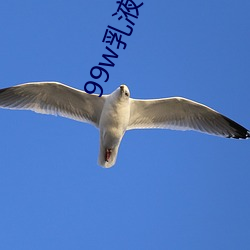 99w乳液78w78w自从取(qǔ)消准入(rù)限制后