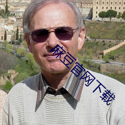 麻豆官网下载