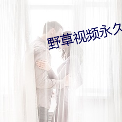 野草视(視)频(頻)永(永)久免费(費)