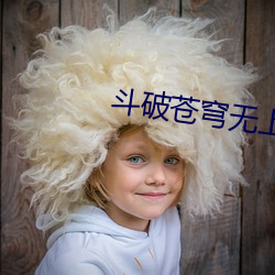 斗破苍(蒼)穹无上之境