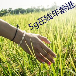 5g在線年齡進入