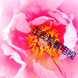 在线(xiàn)观(guān)看电视(shì)