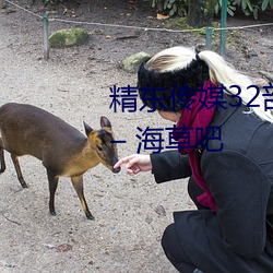 精東傳媒32部超高人氣作品合集 – 海草吧