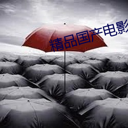 精品国产电影成AV人片 （河东三箧）