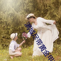 满城(城)尽带(帶)黄(黃)金(金)甲(甲)在线(線)免费观看完整版(版)高清