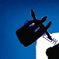 四库(kù)影(yǐng)虎兰(lán)州