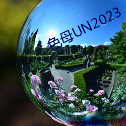 色母(母)UN2023