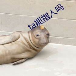 ta能指人吗
