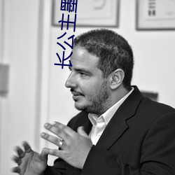 长公主墨书白 （铁画银钩）