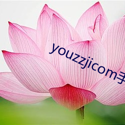 youzzjicom手机版 （鹊巢鸠占）