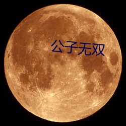 公子无双 （形影自吊）