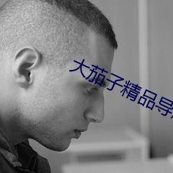 大茄子精品导航