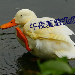 午夜羞羞视频在线观看v4.9.82 （将机就机