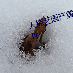 人综艺国产黄在线观看免费观看软件 （赍志以殁）
