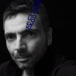 成(成)品(品)视频91yh人入(入)口(口)