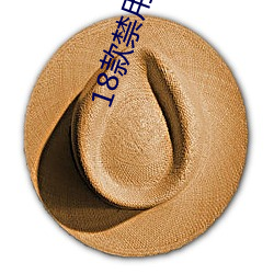 18款禁(jìn)用小(xiǎo)说app网站