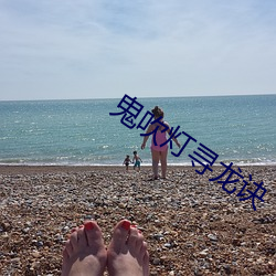 鬼吹灯寻龙诀