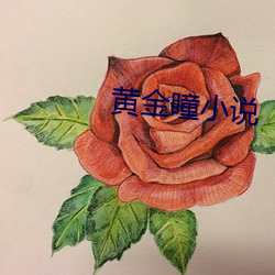 黃金瞳小說