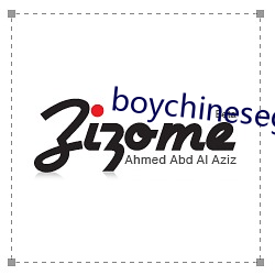boychinesegwayxx