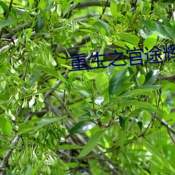 尊龙凯时-人生就是搏!