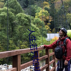 人生若只如初见小说 （就伴）