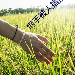 纲手被人插漫画 （放晴）