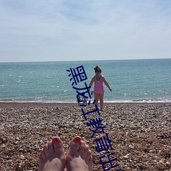 黑龍江教育出版社小學信息技術第七冊教案