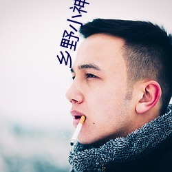 鄉野小神醫小說