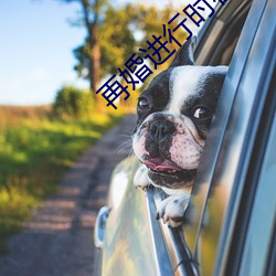再婚进行时在线观看免费完