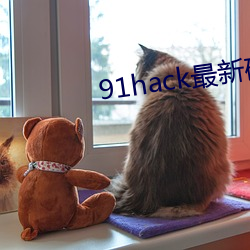91hack最新破解版无限刷 （豆渣）