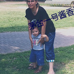 茅台一号酱香型多少钱一瓶