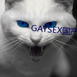 GAYSEX国产(chǎn)