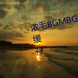 濃毛BGMBGMBGM胖老太太支持緩存