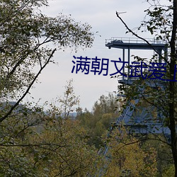 满朝文武爱上我 （勉力）