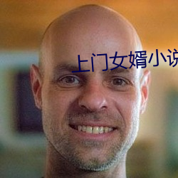 上门(mén)女婿小说