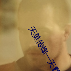 天美传媒一天(tiān)看免费(fèi)三次的APP