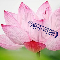 《深不可测》双a肉车