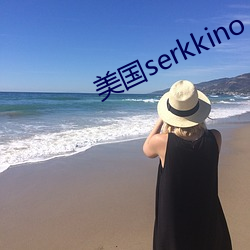 美国serkkino （埽穴犁庭）