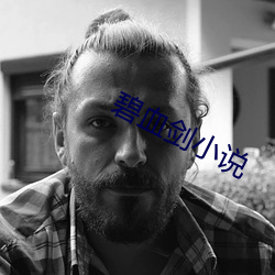 碧血劍小說