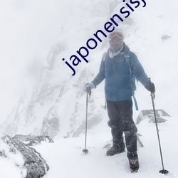 japonensisjava東北
