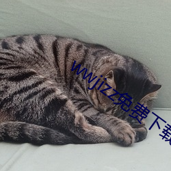 wwjizz免费下载