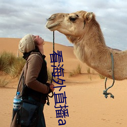 看海(海)外(外)直播(播)app
